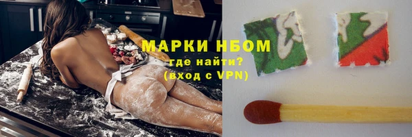 гашик Аркадак
