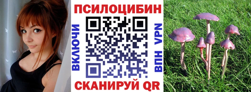 Галлюциногенные грибы GOLDEN TEACHER  hydra ссылки  Солнечногорск 